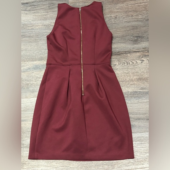 Dynamite Wine Red Sleeveless Mini Dress - Picture 3 of 4